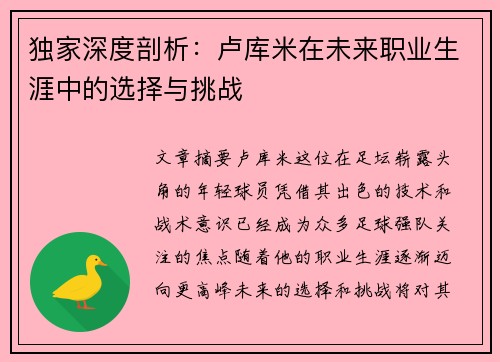 独家深度剖析：卢库米在未来职业生涯中的选择与挑战